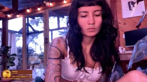 Snapshot of nina_just chatting on 03.01.26 Nina. online show from 03.01.26