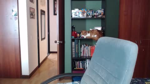 Nina Moon online show from 12.03.25