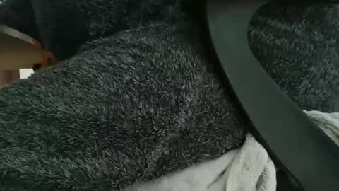 nineinchhard online show from 10.22.25