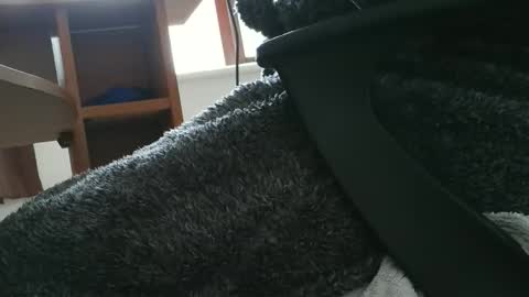 nineinchhard online show from 10.30.25