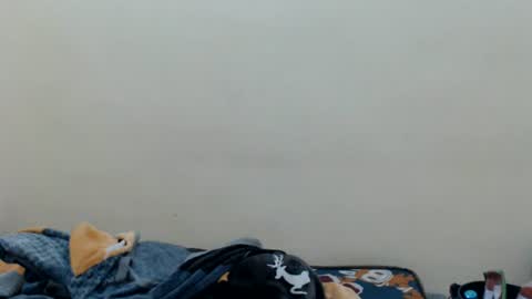 ninew online show from 08.01.26