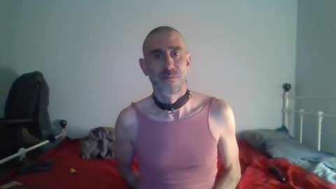 nirevess online show from 12.09.24