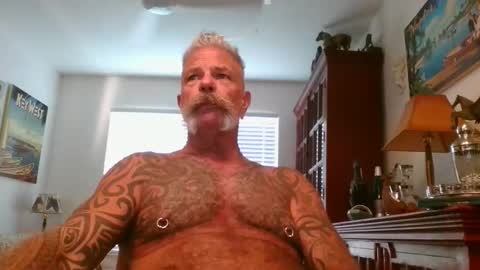 Don online show from 11.01.25