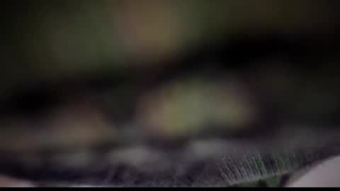 Tears Lora online show from 02.25.25