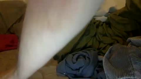 Noah Warren online show from 09.28.25