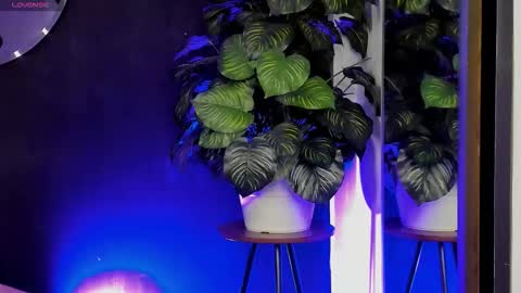 Noah  online show from 03.22.26