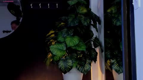 Noah  online show from 03.25.26