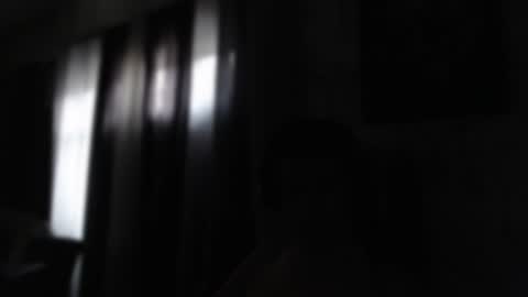 Sebastian online show from 01.23.25