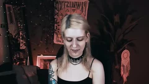 Snapshot of noah_elmer chatting on 11.14.25 REAL name LiaDM are always open online show from 11.14.25