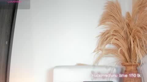 Snapshot of noami_rose chatting on 11.29.25 Noami Rose online show from 11.29.25