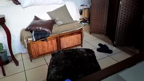 nobudget06 online show from 02.25.25