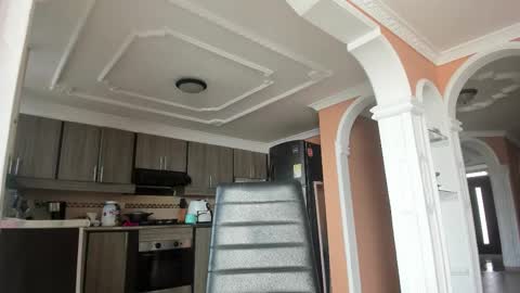  In instagram dayhannanoemi online show from 02.28.25