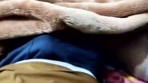 sim  nib online show from 01.12.26