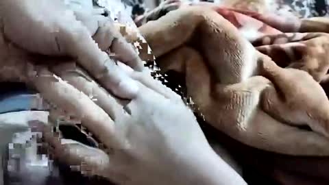 sim  nib online show from 02.01.26