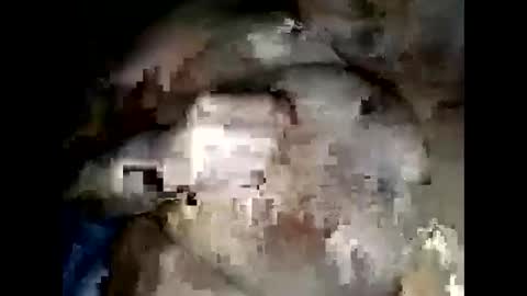 Snapshot of normajeen77777 chatting on 04.14.26 normajeen77777 online show from 04.14.26