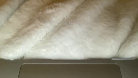 noscandal online show from 12.21.25