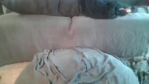 Nova online show from 04.19.26