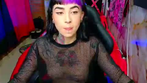 Nova kitty tx online show from 04.06.26
