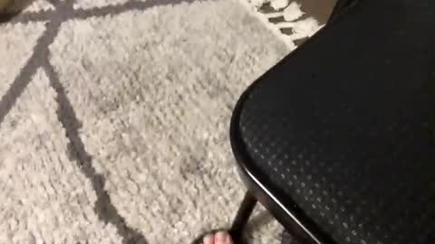 Snapshot of nursesteve chatting on 11.01.25 nursesteve online show from 11.01.25