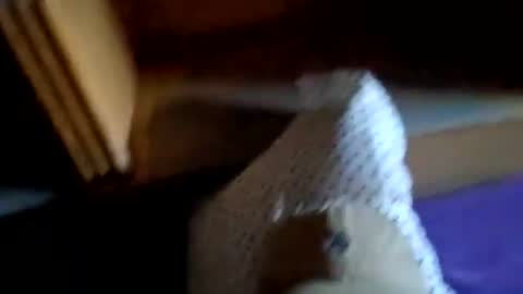 NYCGUY1982 online show from 02.24.26