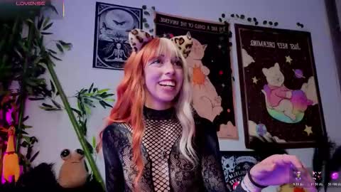   online show from 02.21.26