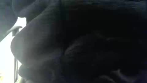 obahiro823844 online show from 12.17.25