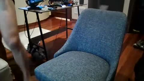 Sky online show from 12.20.24