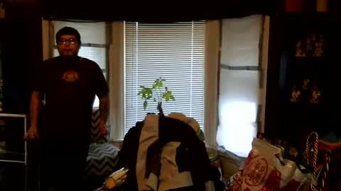 oscar flores online show from 03.01.26