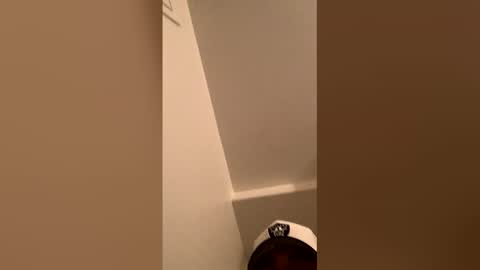 ognemomonies online show from 02.19.26