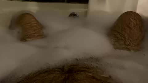 oldbones2 online show from 02.17.25