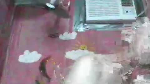 Snapshot of oldbuthorny62 chatting on 11.23.25 oldbuthorny62 online show from 11.23.25