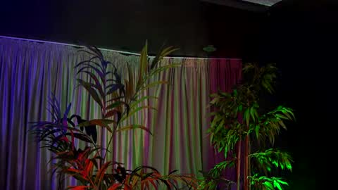Olyvia online show from 06.12.26