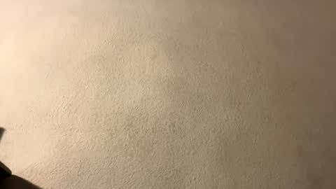 amy 3 online show from 09.28.25