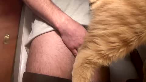 onedayonedollar online show from 02.25.25