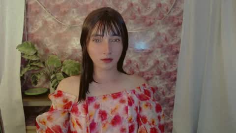 KLIER online show from 07.04.26