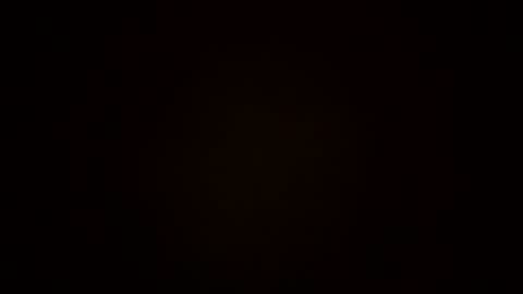 oralzoo2 online show from 10.08.25