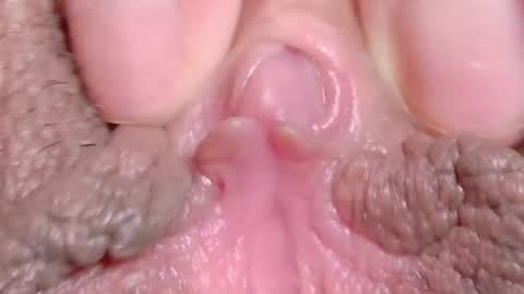 orchidekitty online show from 04.10.26