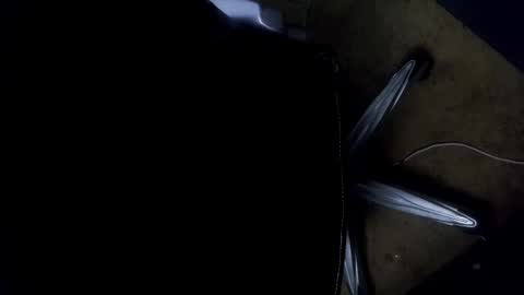 Snapshot of orgasmgiver9090 chatting on 11.07.25 orgasmgiver9090 online show from 11.07.25