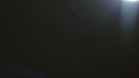 oriana_111 online show from 05.04.26