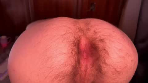 origamicat online show from 10.13.25