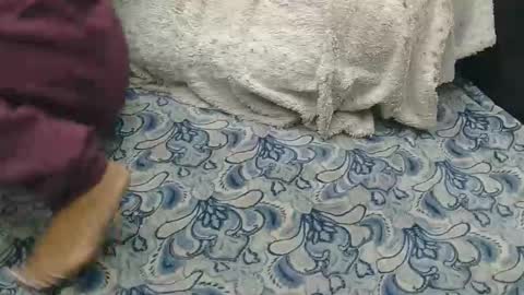 originalcali95 online show from 02.14.26