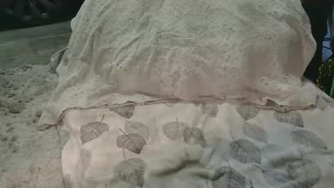 originalcali95 online show from 03.15.26