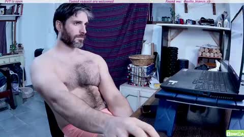 Osito Blanco online show from 05.08.26