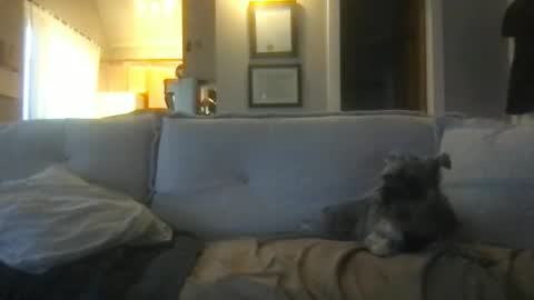 rossignol online show from 02.27.25