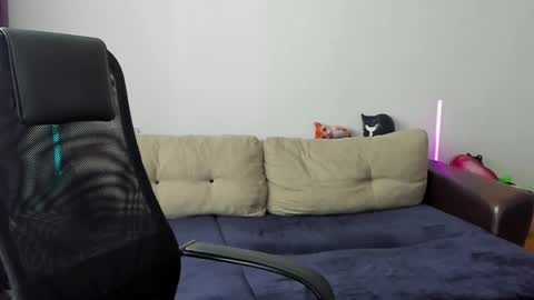 Ostin online show from 03.02.26