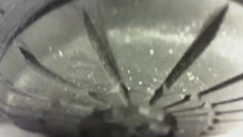 Pablo Meness online show from 01.24.25