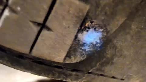 Pablo Meness online show from 12.05.25