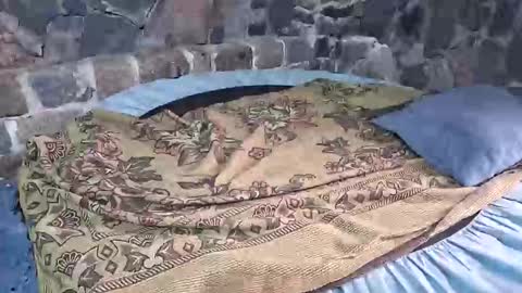 pablouyu online show from 01.18.26