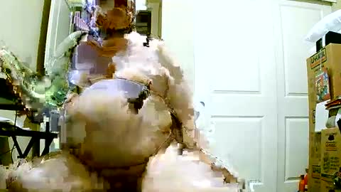 Bill online show from 12.08.24