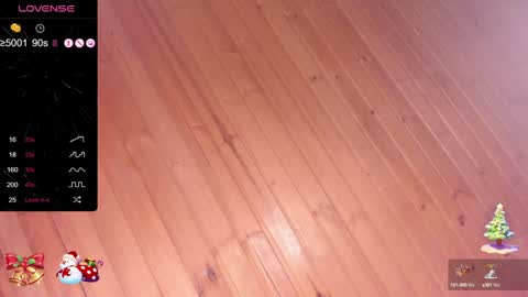 Snapshot of pamela_dimantis_ chatting on 12.30.24 Pamela online show from 12.30.24